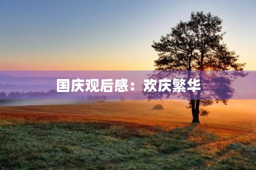 国庆观后感：欢庆繁华，感恩奋进