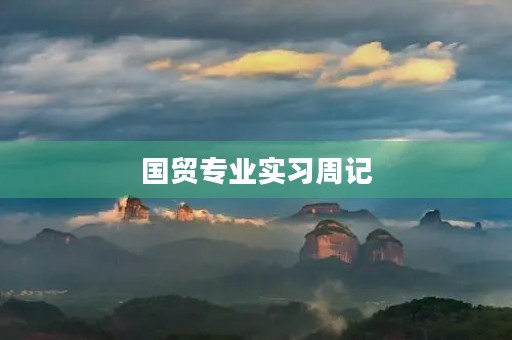 国贸专业实习周记