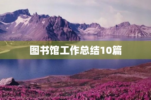 图书馆工作总结10篇
