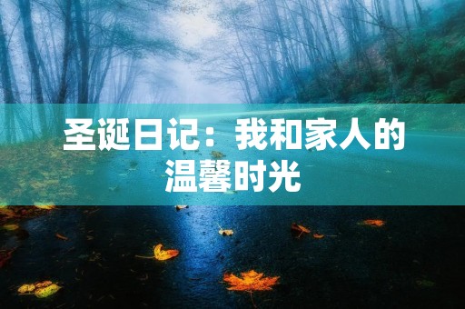 圣诞日记：我和家人的温馨时光