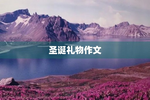 圣诞礼物作文 圣诞礼物作文