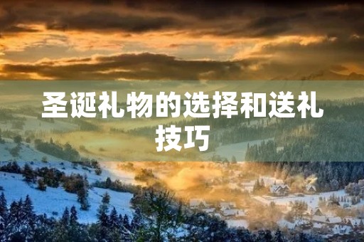 圣诞礼物的选择和送礼技巧 圣诞礼物的选择和送礼技巧
