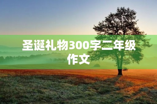 圣诞礼物300字二年级作文 圣诞礼物300字二年级作文