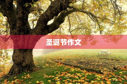 圣诞节作文 圣诞节作文