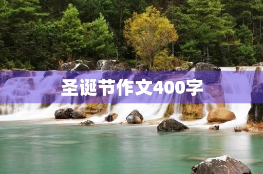 圣诞节作文400字 圣诞节作文400字