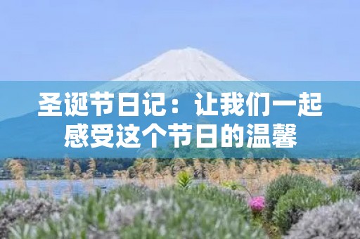 圣诞节日记：让我们一起感受这个节日的温馨