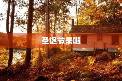 圣诞节来啦