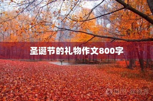 圣诞节的礼物作文800字 圣诞节的礼物作文800字