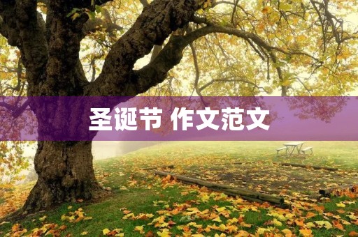 圣诞节 作文范文 圣诞节 作文范文