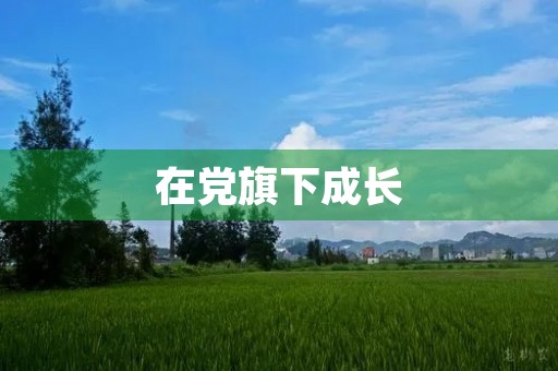 在党旗下成长,我获得了什么 在党旗下成长,我获得了什么