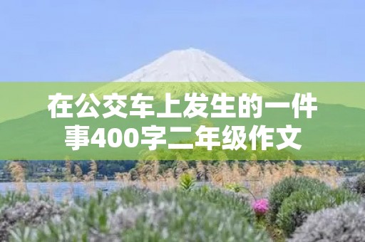 在公交车上发生的一件事400字二年级作文