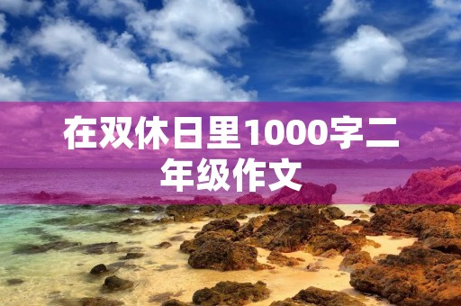 在双休日里1000字二年级作文