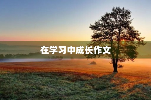 在学习中成长作文 在学习中成长作文