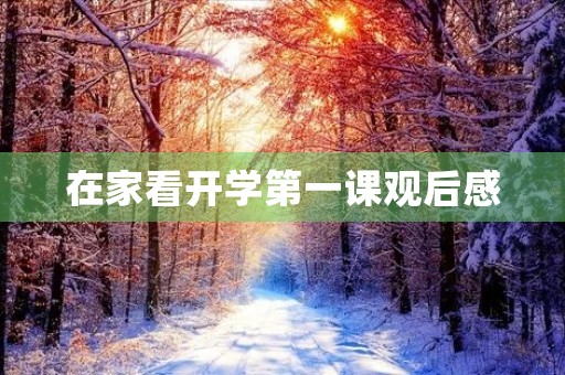 在家看开学第一课观后感 在家看开学第一课观后感