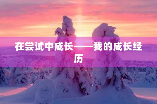 在尝试中成长——我的成长经历