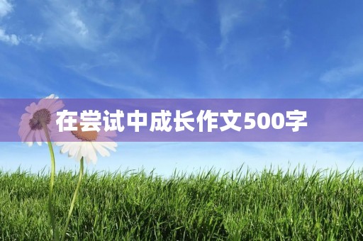 在尝试中成长作文500字 在尝试中成长作文500字