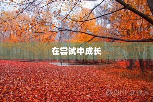 在尝试中成长