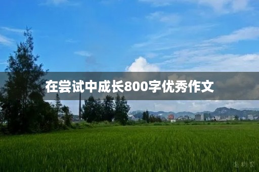 在尝试中成长800字优秀作文 在尝试中成长800字优秀作文