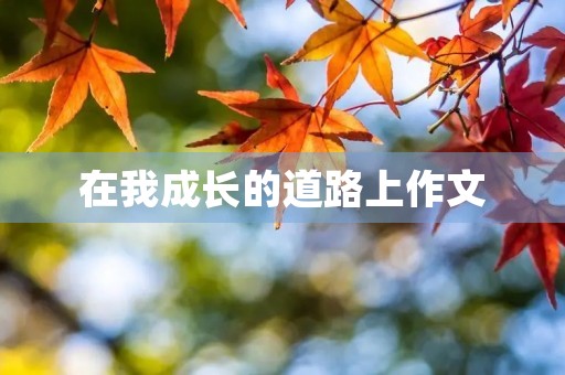 在我成长的道路上作文 在我成长的道路上作文