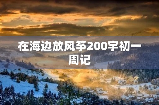 在海边放风筝200字初一周记