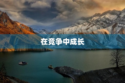 在竞争中成长 在竞争中成长