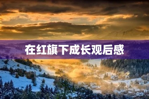 在红旗下成长观后感