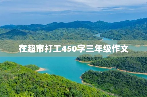 在超市打工450字三年级作文