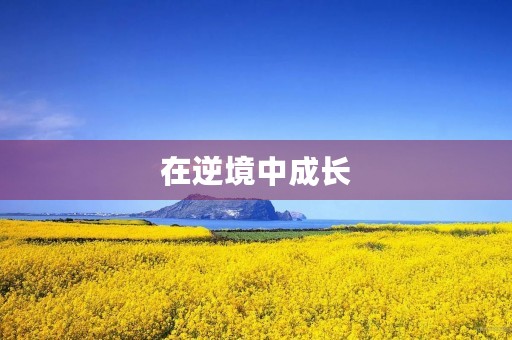 在逆境中成长