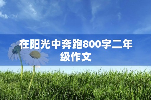 在阳光中奔跑800字二年级作文