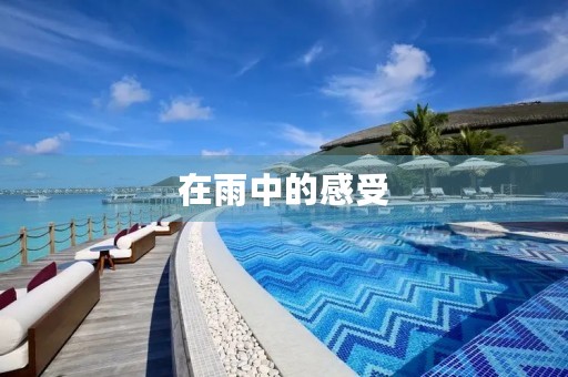 在雨中的感受 在雨中的感受