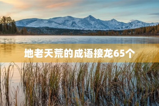 地老天荒的成语接龙65个