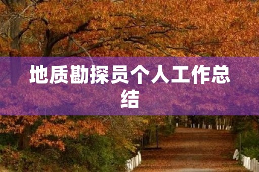 地质勘探员个人工作总结