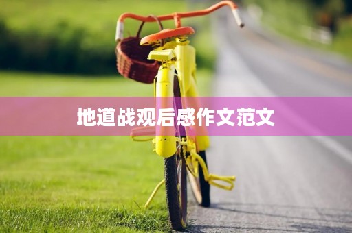 地道战观后感作文范文
