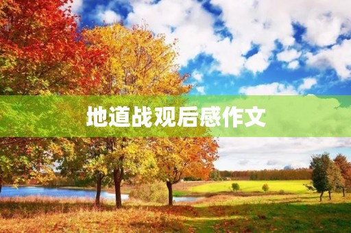 地道战观后感作文