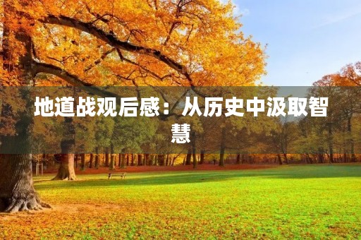 地道战观后感：从历史中汲取智慧