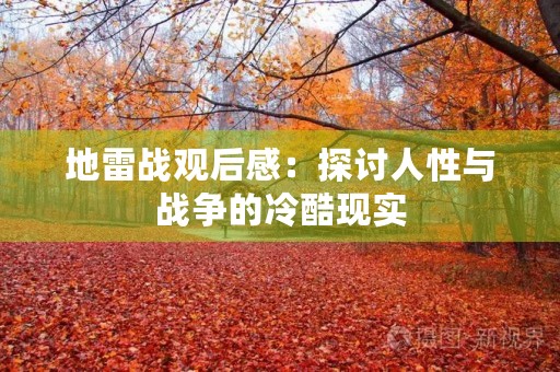 地雷战观后感：探讨人性与战争的冷酷现实