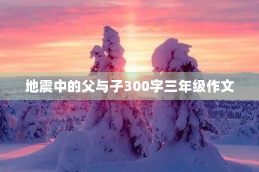 地震中的父与子300字三年级作文