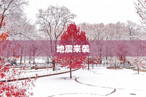 地震来袭，我们该如何应对