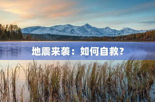 地震来袭:如何自救? 地震来袭:如何自救?