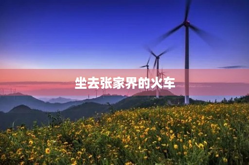 坐去张家界的火车