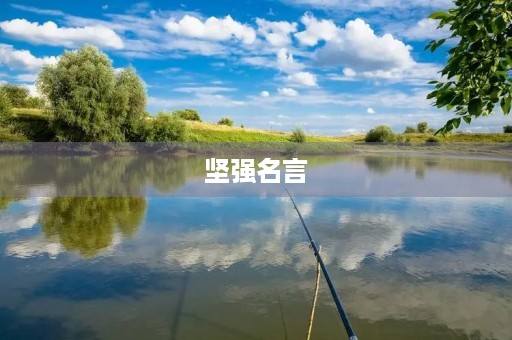 坚强名言，有一种美丽叫坚强
