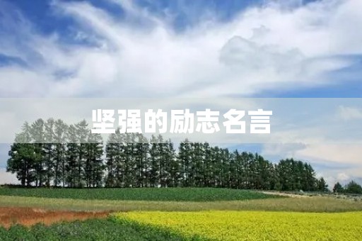坚强的励志名言(坚强的励志名言名句) 坚强的励志名言(坚强的励志名言名句)