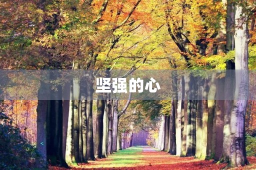坚强的心 坚强的心