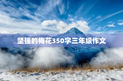 坚强的梅花350字三年级作文