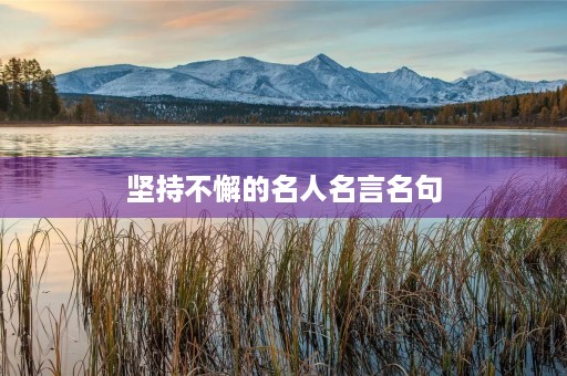 坚持不懈的名人名言名句(坚持不懈的名人名言名句 高尔基)