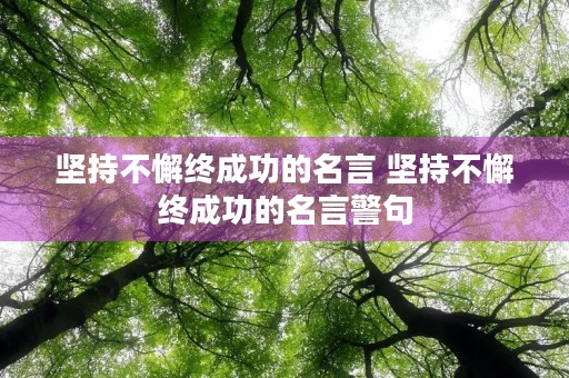 坚持不懈终成功的名言 坚持不懈终成功的名言警句 坚持不懈终成功的名言 坚持不懈终成功的名言警句