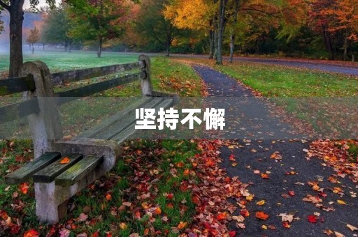 坚持不懈,追寻成功的路 坚持不懈,追寻成功的路