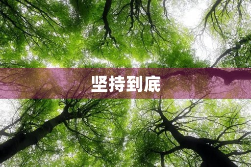 坚持到底，迎接成功的喜悦