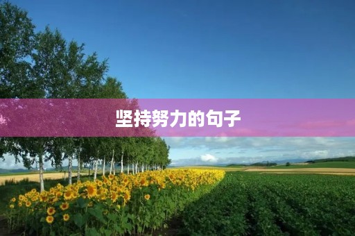 坚持努力的句子(坚持努力的句子 正能量) 坚持努力的句子(坚持努力的句子 正能量)