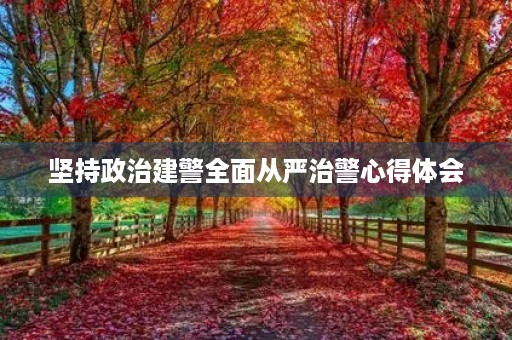 坚持政治建警全面从严治警心得体会